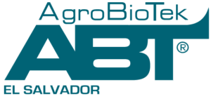 Logo ABT El Salvador